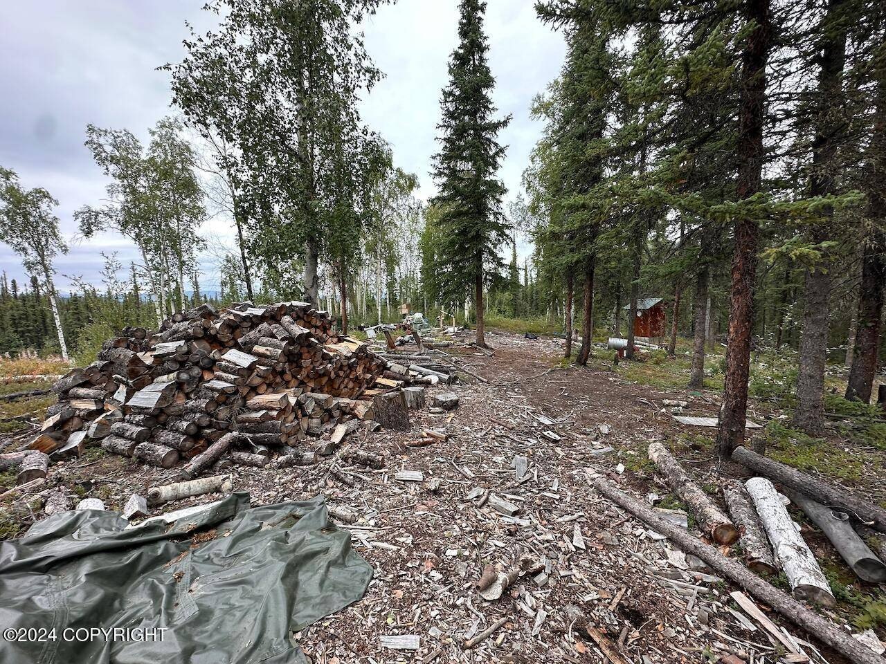 Remote Land Near Dot Lake