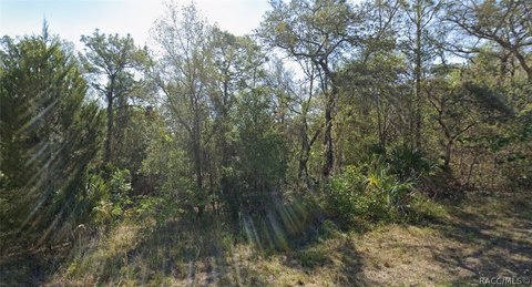 Land, Inverness, FL