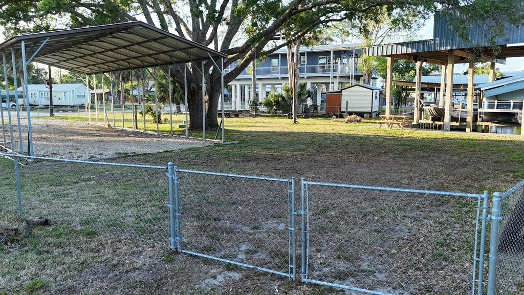 Picture 25