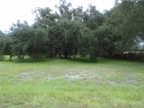 Land, MULBERRY, FL