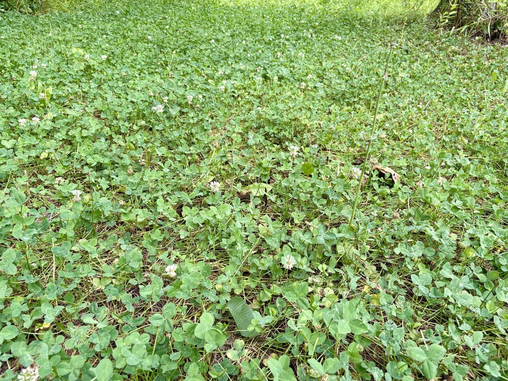 Picture 30