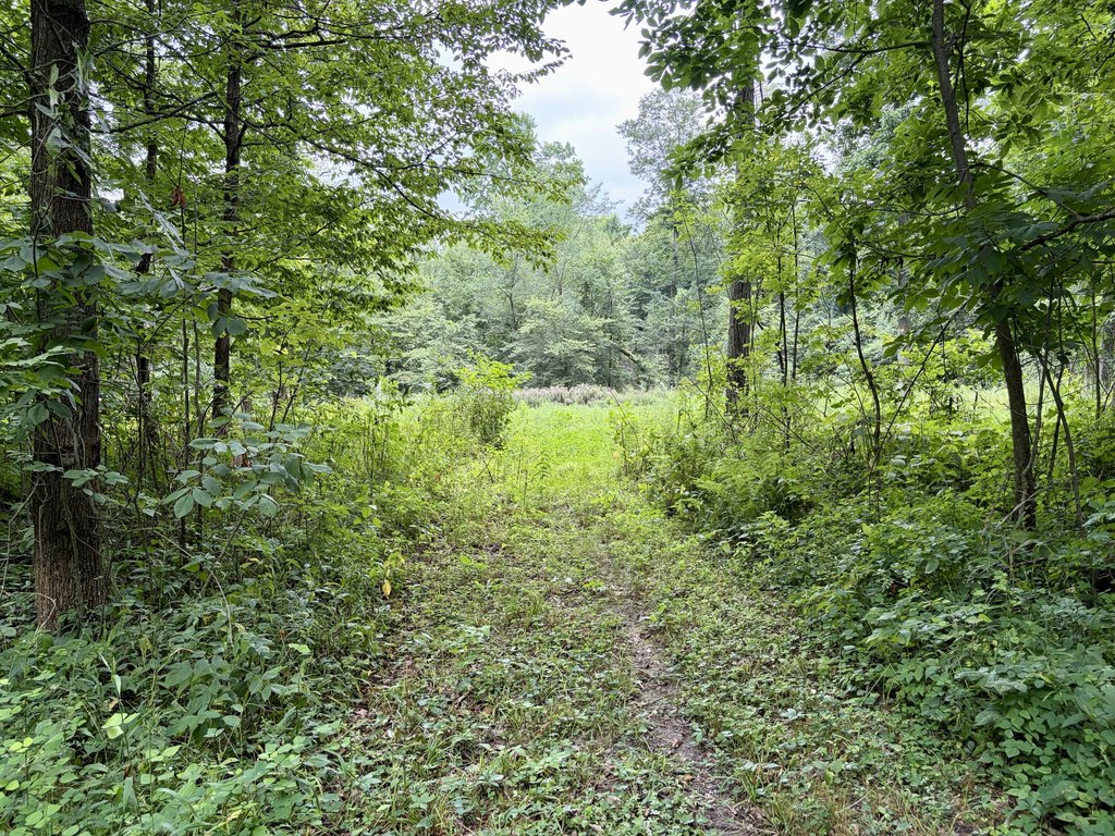 Picture 25