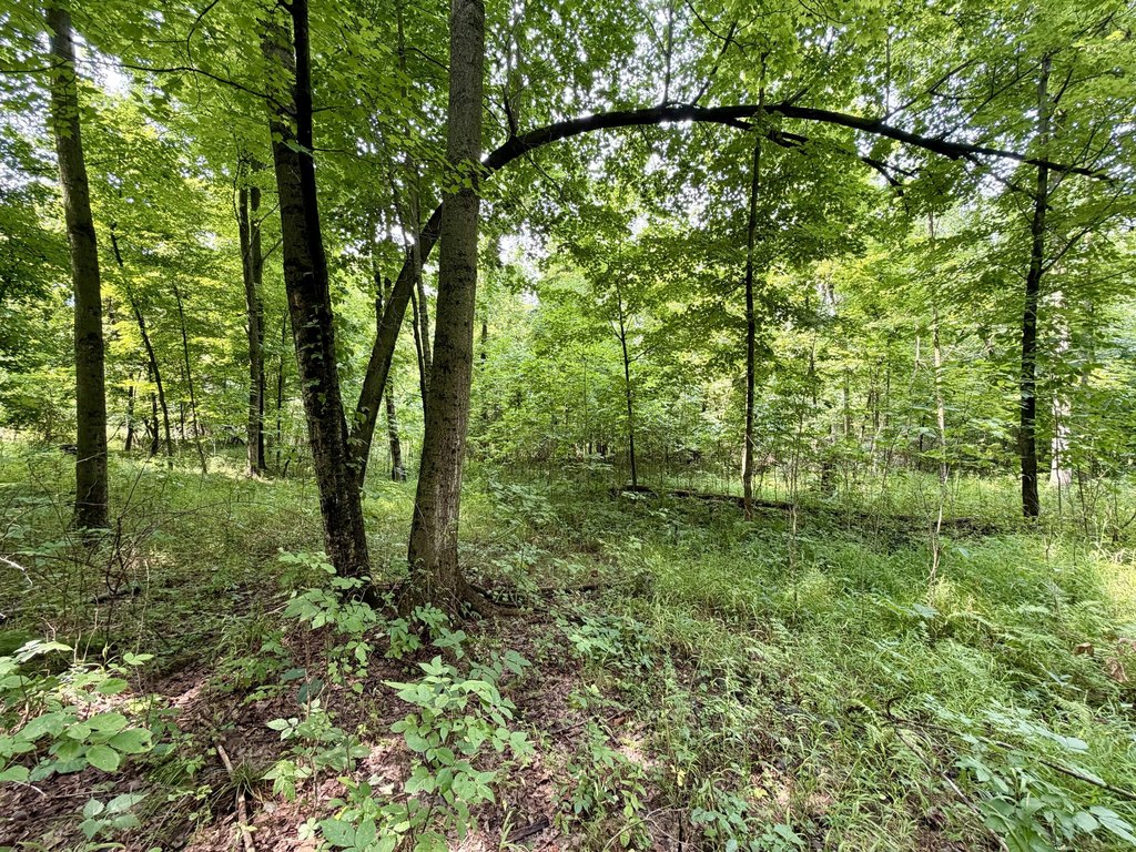 Picture 47