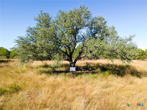 Evant, TX 10-Acre Land Tract