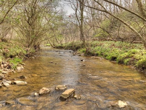 Blue Ridge Vacant Land with Creek