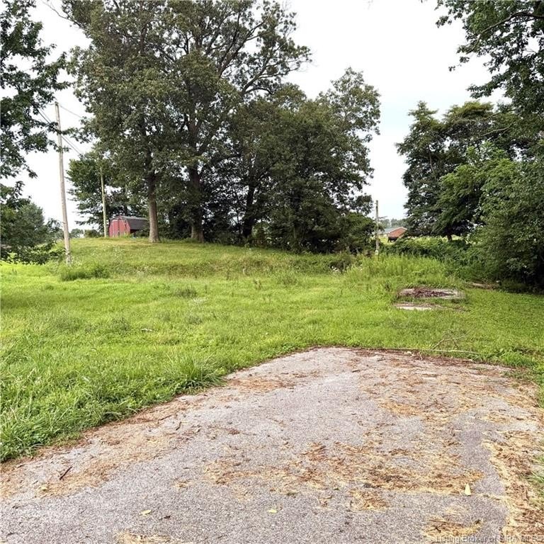 Picture 15