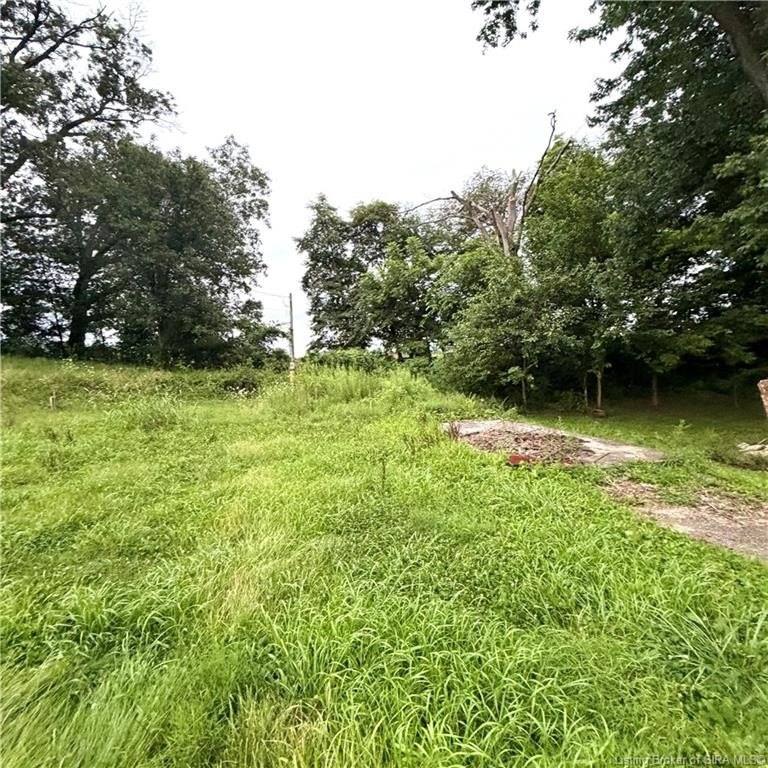 Picture 28