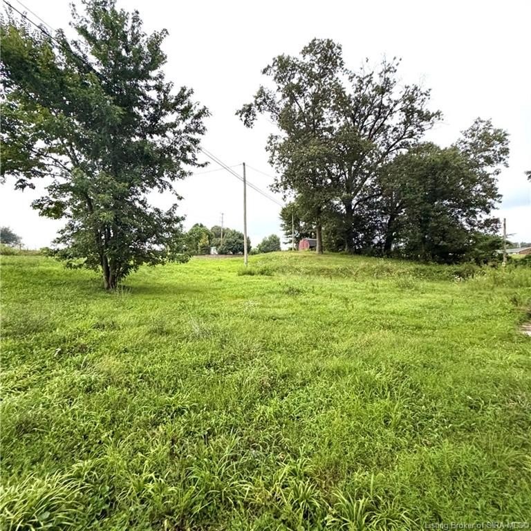 Picture 25