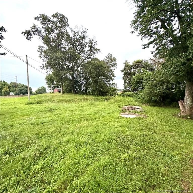 Picture 24