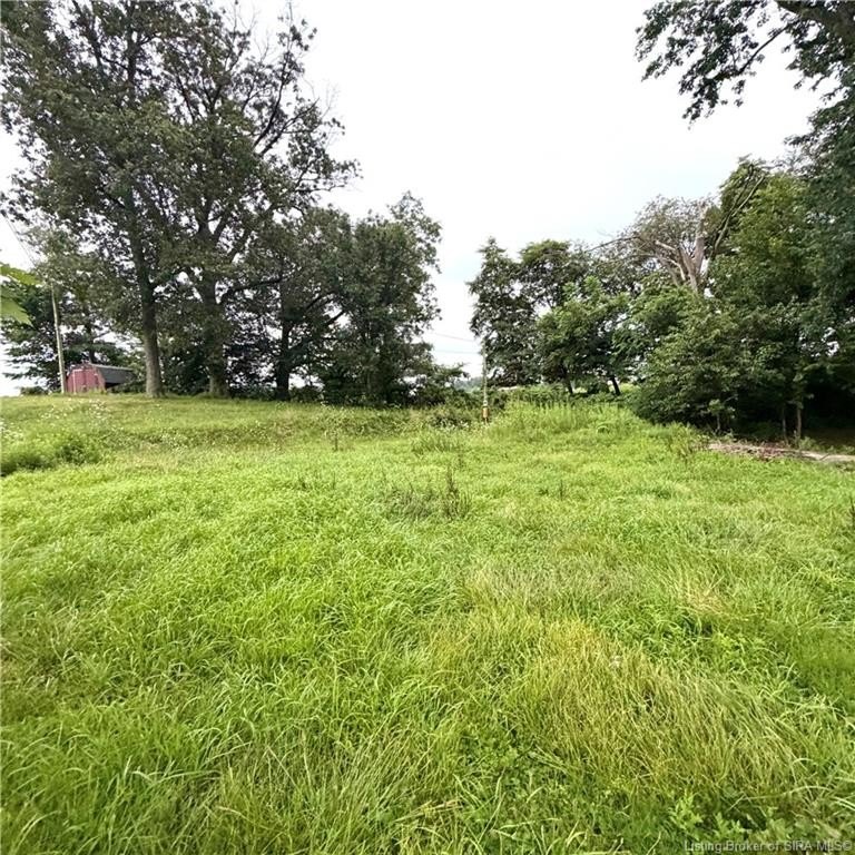 Picture 29