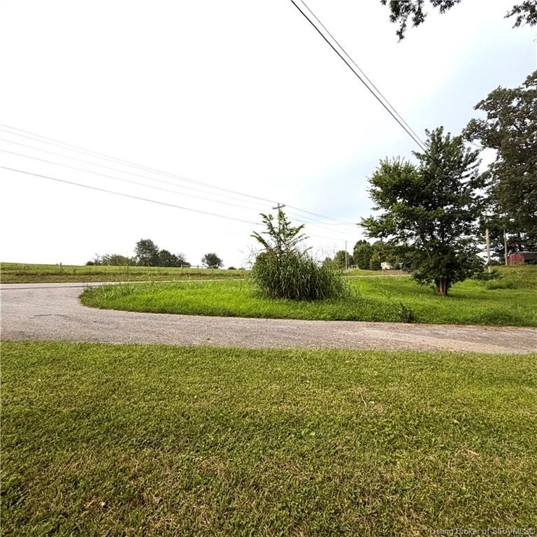Picture 17