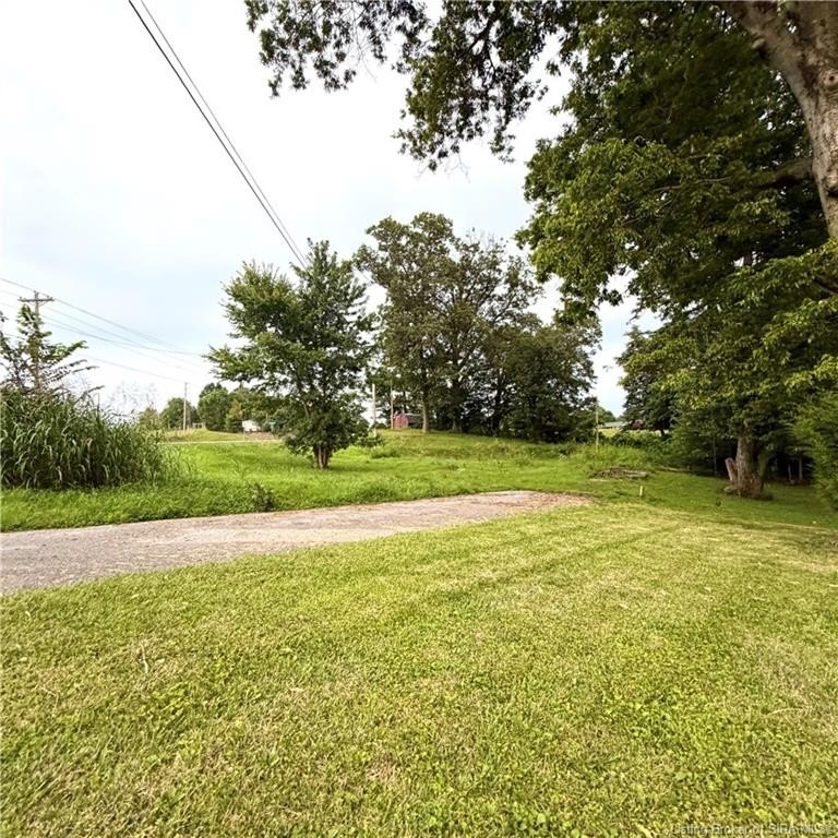 Picture 19