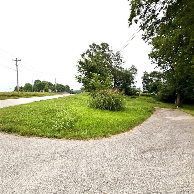 Picture 43