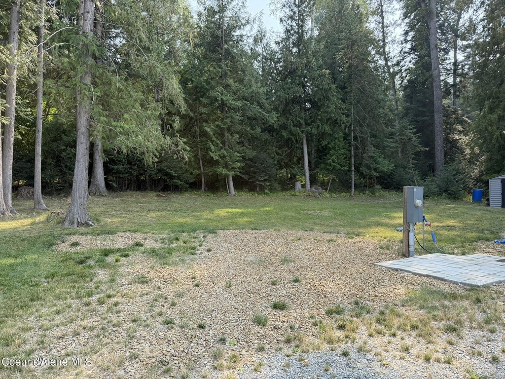 Picture 11