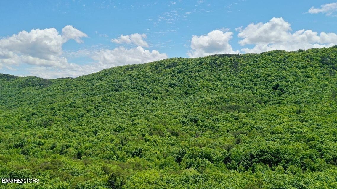 Land in Maryville, Tennessee