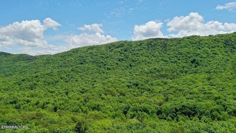 Land in Maryville, Tennessee