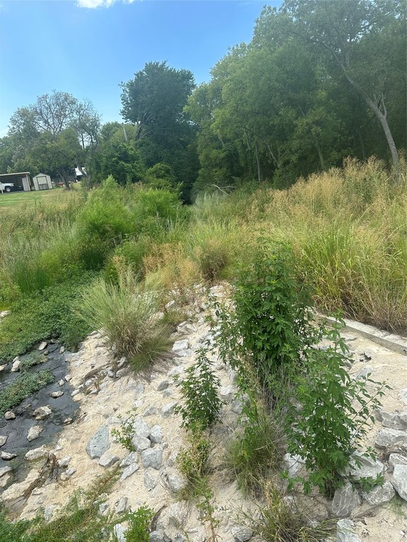 Picture 10