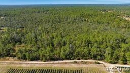 Dunnellon, FL Home Site Land