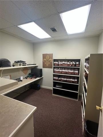 Picture 47