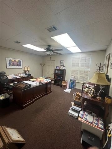 Picture 46