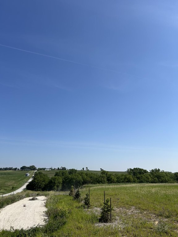 Picture 7