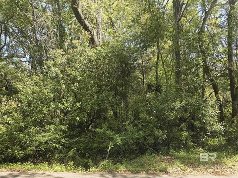 Wooded Waterfront-Access Home Lot