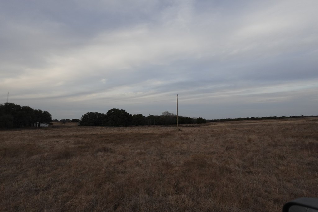 Picture 11