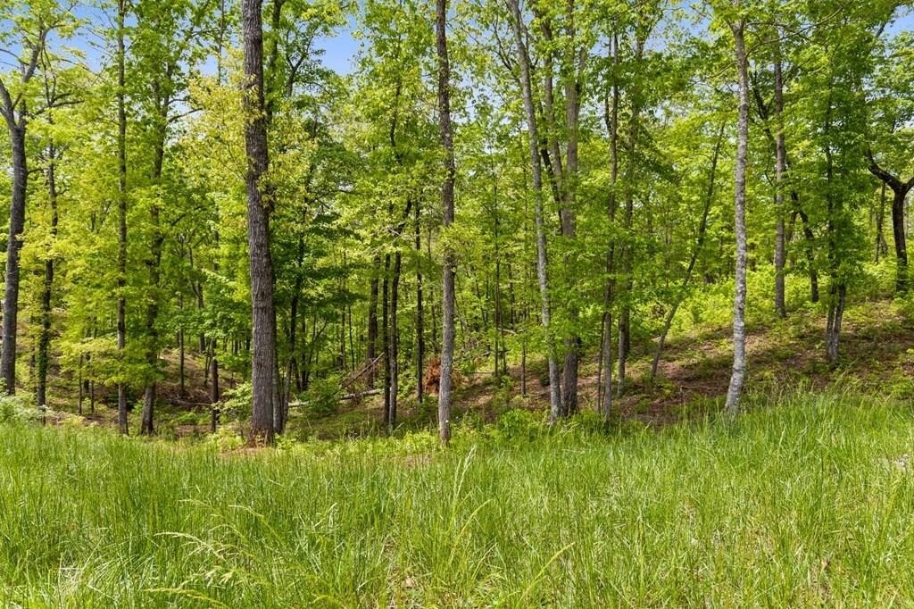 Ellijay Vacant Lot in Gated Community