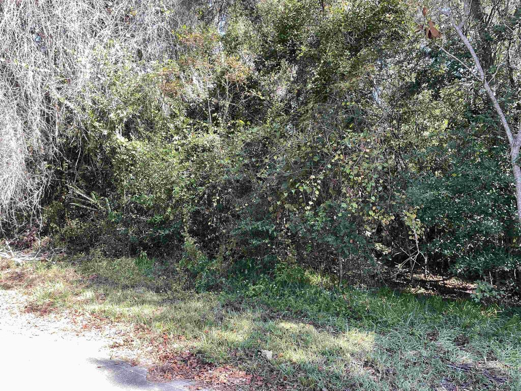 Picture 6