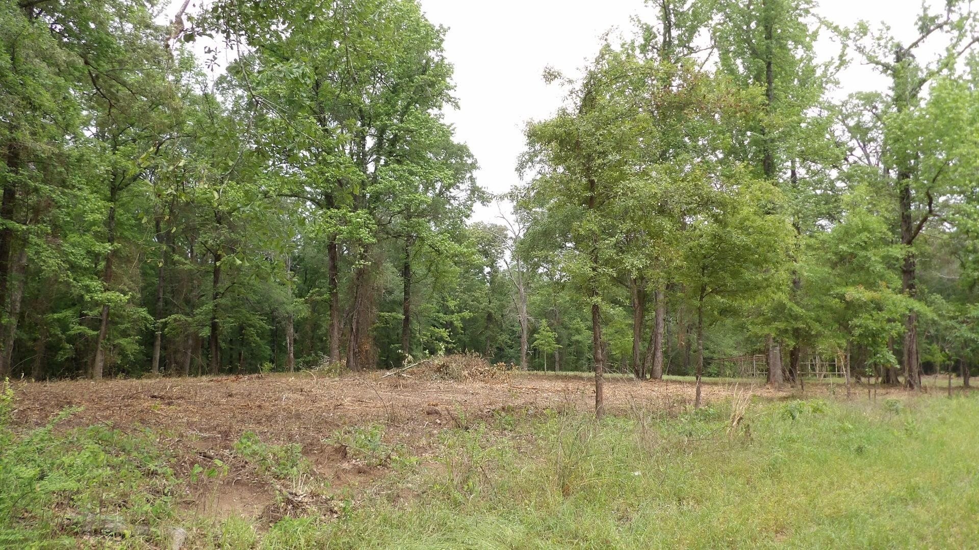 Jefferson, TX 18 Acre Land