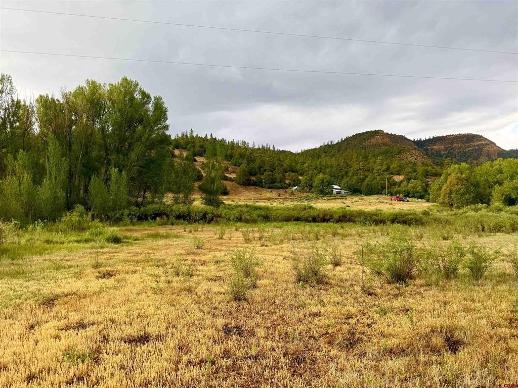Picture 21