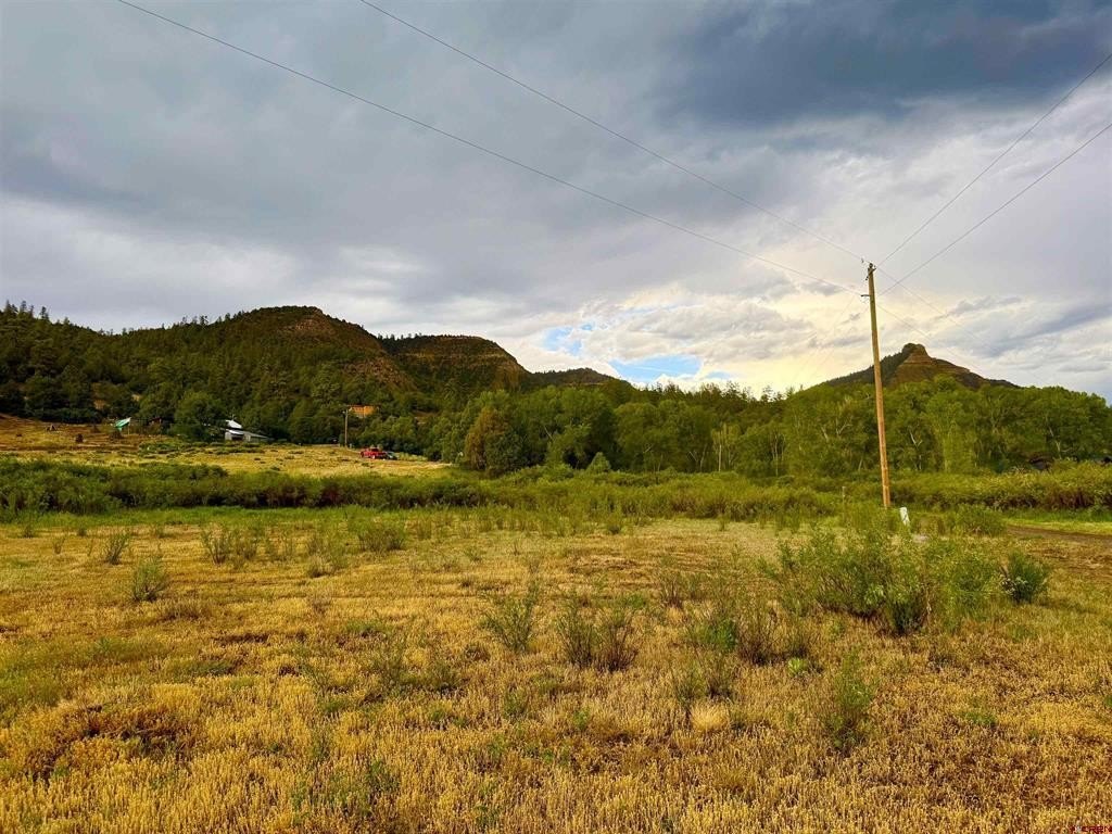 Picture 20