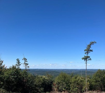 Montrose WV Residential/Hunting Land