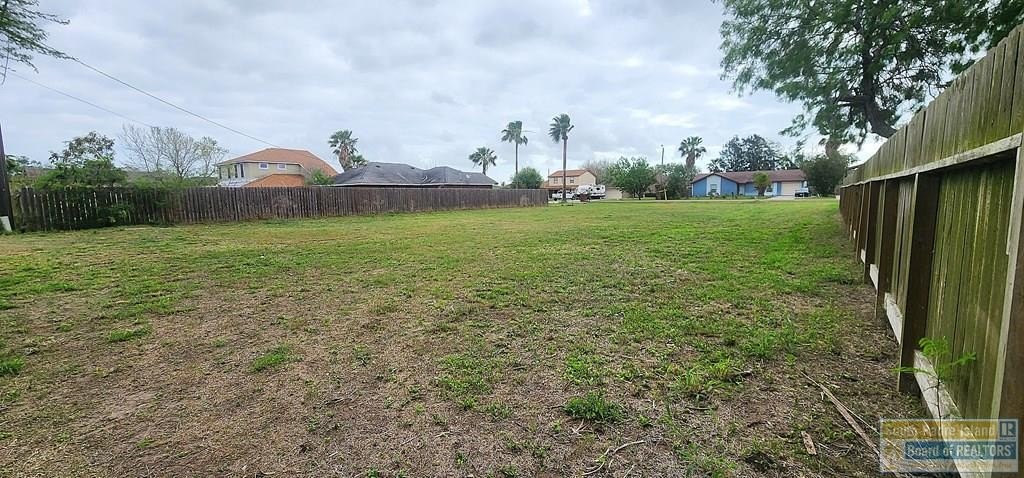 Picture 5