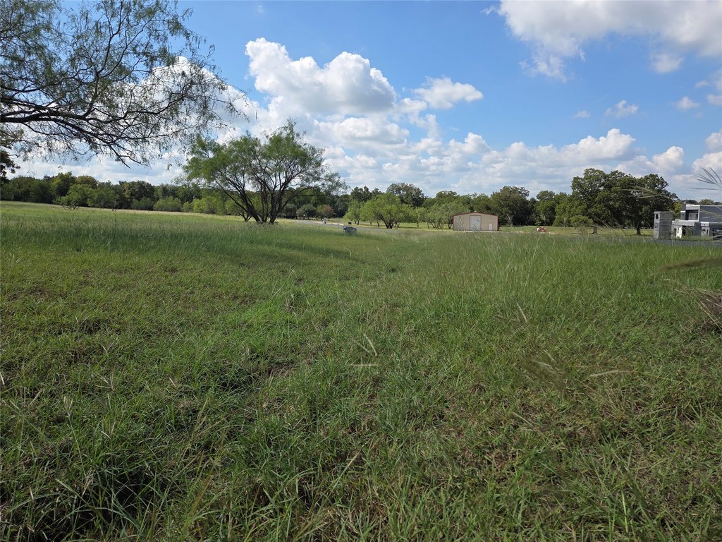 Picture 19
