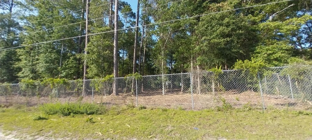 Picture 2