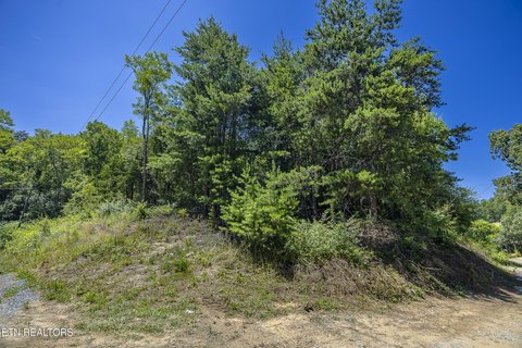 LAND - Sevierville, TN