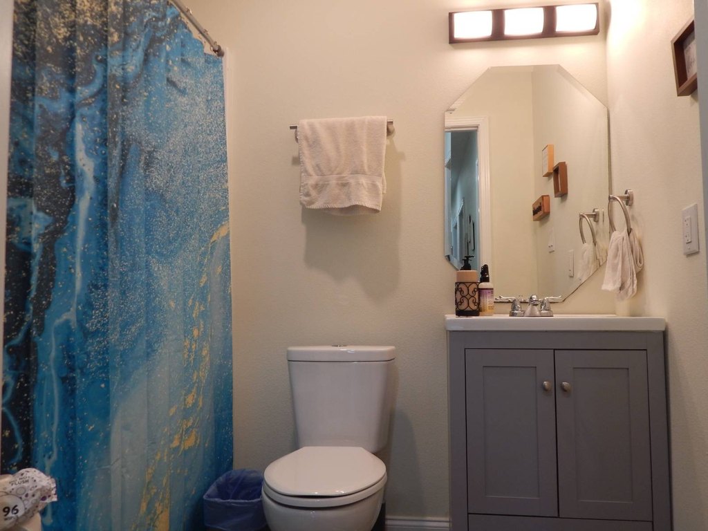 Picture 16