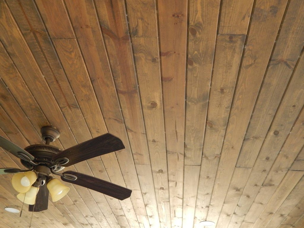 Picture 6