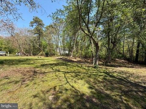 Land in Pine Lake Park