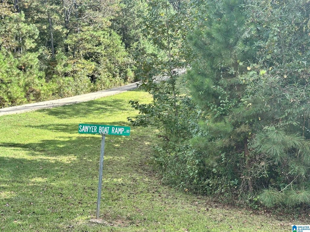 Picture 17