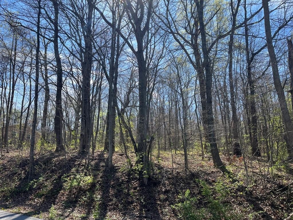 Level Building Lot in Springville