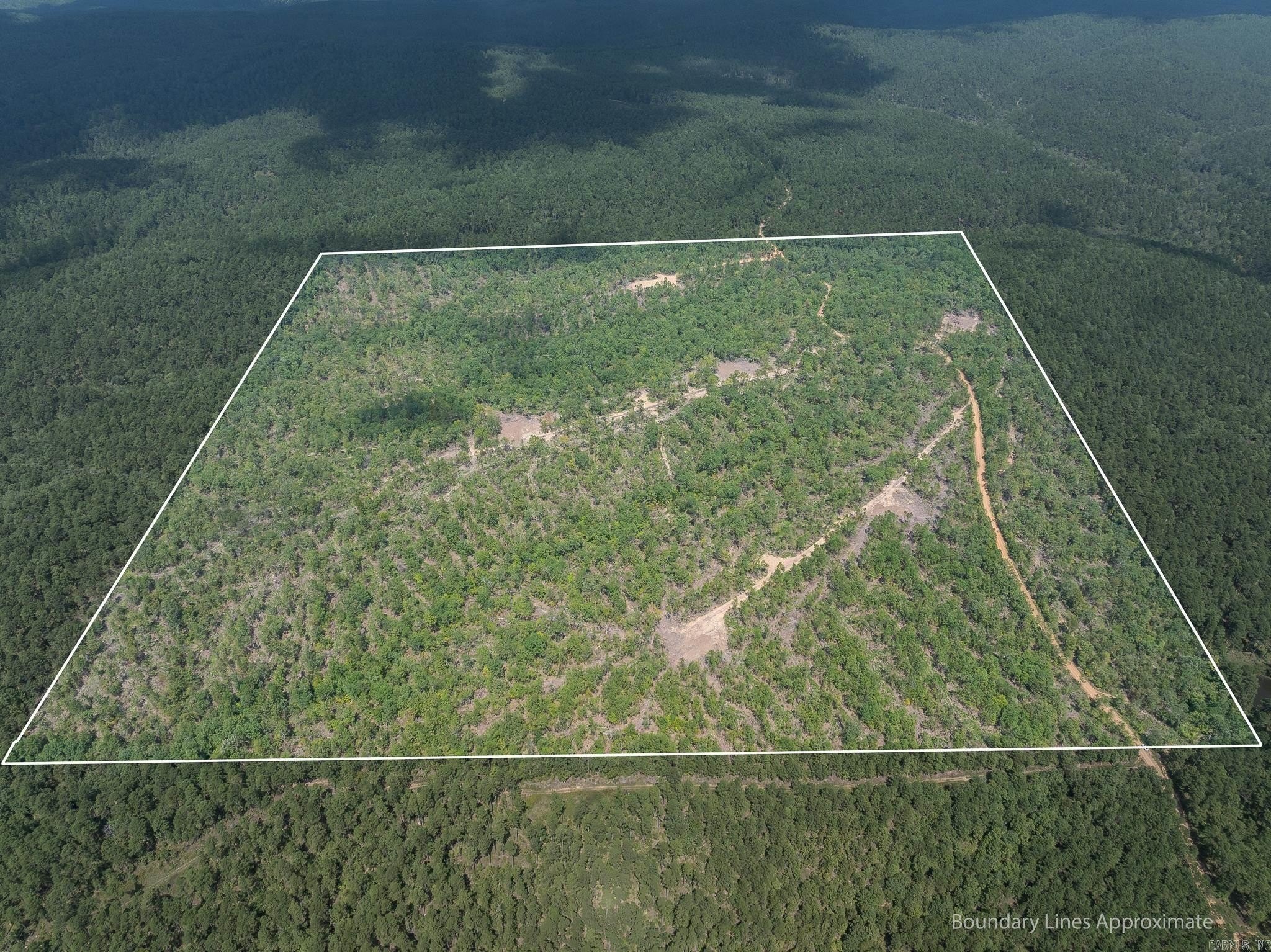 Secluded Hunting Land in Waldron, AR