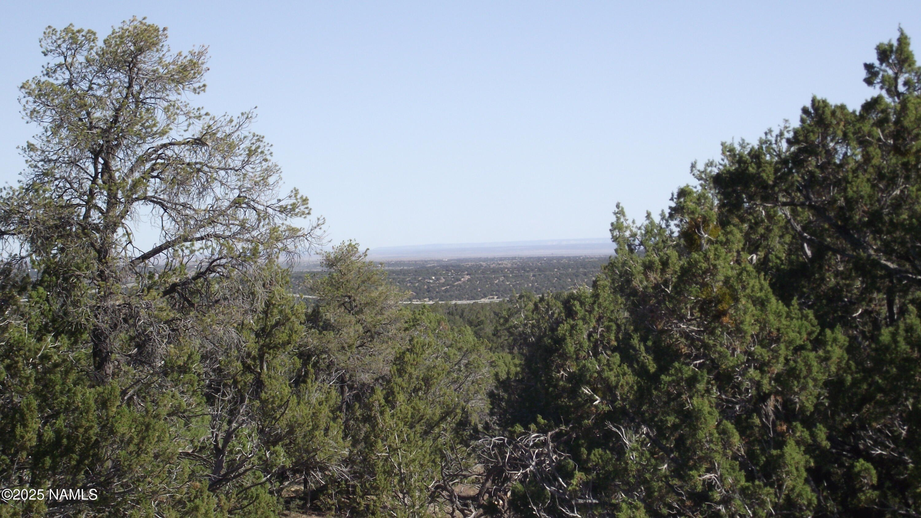 Heavily Treed Acre in Williams