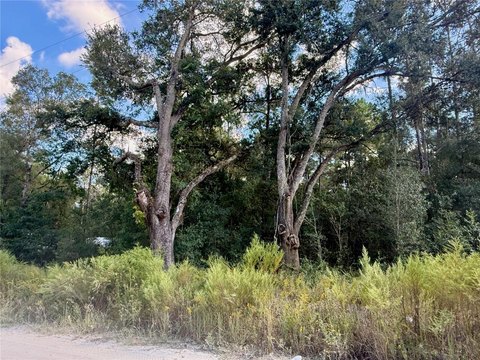 Land, OCALA, FL