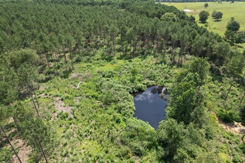 Timberland and Recreational Tract