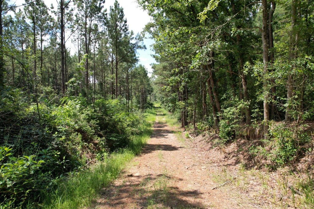 Picture 17