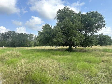 La Grange Acreage with Pond