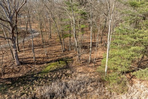 9-Acre Wooded Lot in Ada
