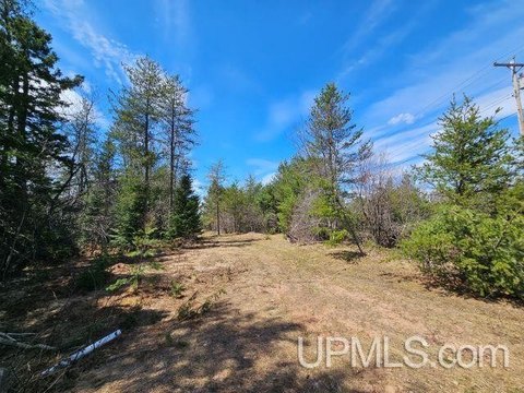 VACANT LAND, Ishpeming, MI